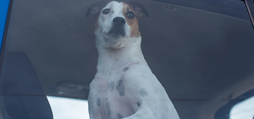 Car Lockout Solutions in Mayflower Village, California